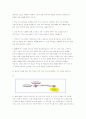 네트워킹 4판 솔루션 홀수번혼 번역본입니다 64페이지