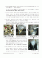 아스피린의 합성 (Synthesis of Aspirin) 결과보고서  7페이지