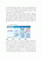 세계 철강 산업 속에서의 POSCO 위기상황 분석과 경쟁우위를 통한 기업 경영 전략 리포트  5페이지