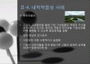 인적자원관리 외적적합성 내적적합성 기업사례 ppt 20페이지