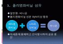 부가중합체 합성섬유 비닐론 8페이지