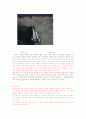 RFID(Radio Frequency Identification Systems)  23페이지