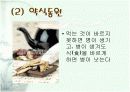 한국의 전통 음식문화 7페이지