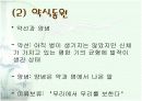 한국의 전통 음식문화 8페이지