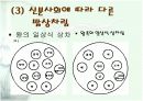 한국의 전통 음식문화 11페이지