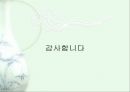 한국의 전통 음식문화 26페이지