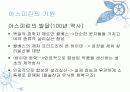 아스피린의 기원과 사용 4페이지