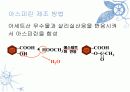 아스피린의 기원과 사용 5페이지