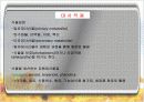 식물 의약품 3페이지