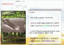 식물 의약품 5페이지