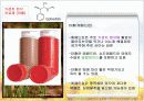 식물 의약품 8페이지