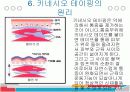 키네시오 테이핑 요법의 원리, 효과, 시술방법, 교육과정 및 직업전망 7페이지