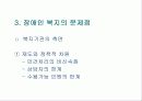 장애인 복지 발표 PPT (전반적 사항 팀플) 13페이지
