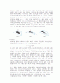 [열유체실험] 풍동 실험 (예비+결과레포트) 2페이지