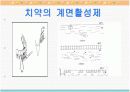 치약 속 계면활성제 14페이지