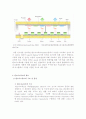 [공학/컴퓨터/통신] 탄소나노튜브를 이용한 디스플레이 6페이지
