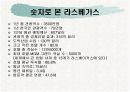 라스베가스가 미국경제에 미치는 영향 7페이지