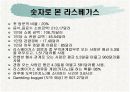 라스베가스가 미국경제에 미치는 영향 8페이지