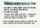라스베가스가 미국경제에 미치는 영향 16페이지