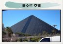라스베가스가 미국경제에 미치는 영향 47페이지