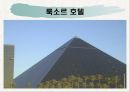 라스베가스가 미국경제에 미치는 영향 49페이지