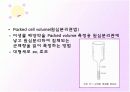 미생물 증식 5페이지