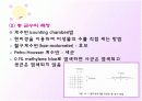 미생물 증식 9페이지