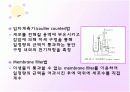 미생물 증식 10페이지