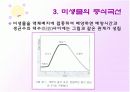 미생물 증식 16페이지