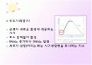 미생물 증식 17페이지