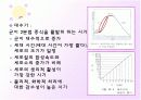 미생물 증식 18페이지