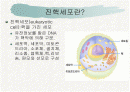 세포의 미세구조와 기능-진핵세포 2페이지