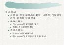 세포의 미세구조와 기능-진핵세포 7페이지