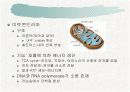 세포의 미세구조와 기능-진핵세포 12페이지