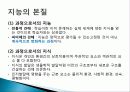 피아제의 인지발달이론 ppt 발표자료 4페이지