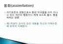 피아제의 인지발달이론 ppt 발표자료 8페이지