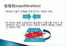 피아제의 인지발달이론 ppt 발표자료 10페이지