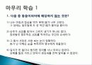 다의어교육을 위한 교수학습 ppt 13페이지