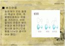 선운동 정리 4페이지