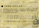선운동 정리 16페이지