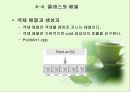클래스의 완성 21페이지