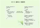 템플릿(template) 이해 5페이지