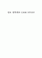 정보보호와 관련한 미국의 CASE STUDY 1페이지