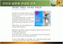 인터넷 실명제를 반대하는 입장의 발표 피피티 9페이지