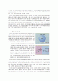 프로이드의 정신분석이론 - 프로이트의 삶과 사상 4페이지
