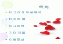 아그라와 타지마할 2페이지