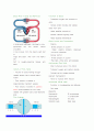 순환계 Circulation Chapter 33 Circulatory System 2페이지