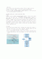 지식경영(knowledge management) 관련 9페이지