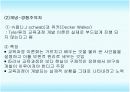 실제적 교육과정 개발모형 5페이지