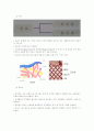 피부관리의 이해 5페이지
